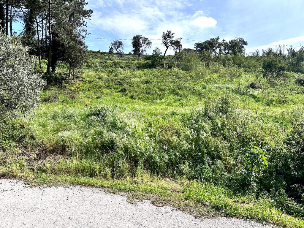  Terreno Urbano com Vista Magnífica para Venda – Próximo da Ericeira e Mafra! - Image 6